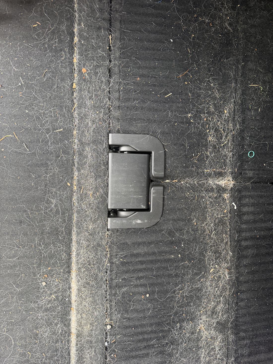 Cargo area carpet covered in pet hair before cleaning