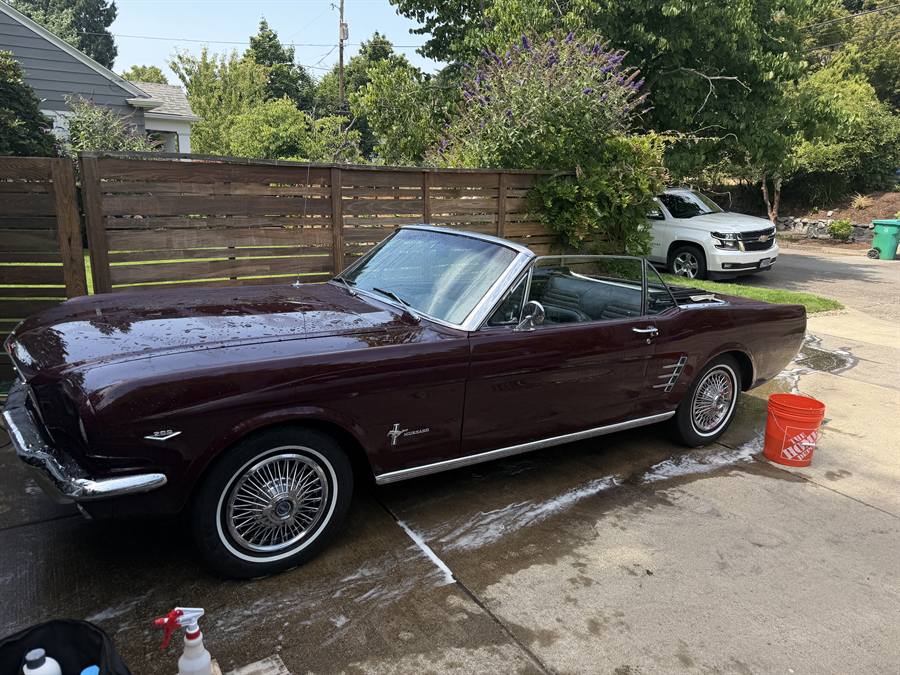 Classic Mustang convertible after detailing