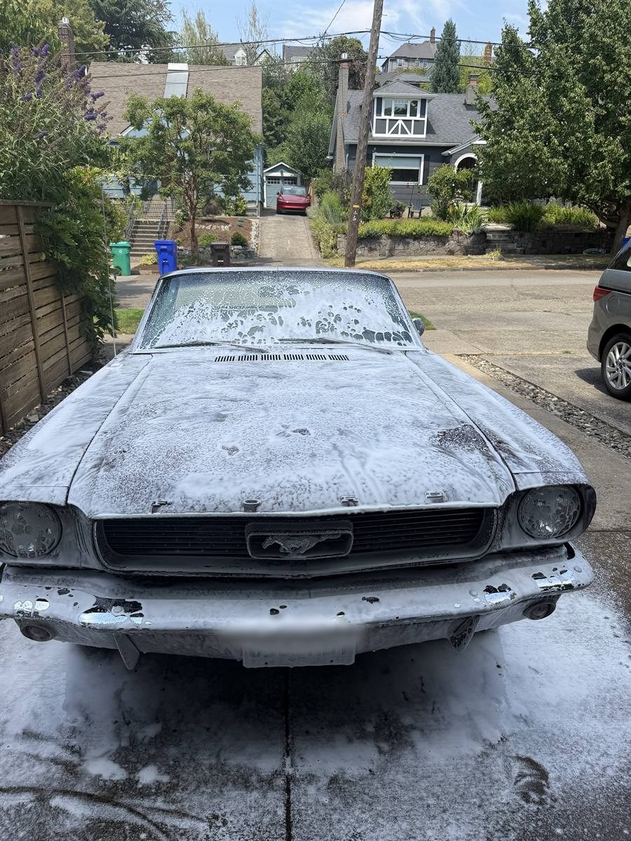 Classic Mustang covered in foam